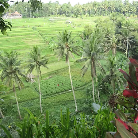 Permata Ayung - Adult Only Hotel